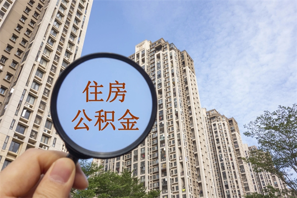 玉树离职多久可以取住房公积金（离职多久后能取公积金）